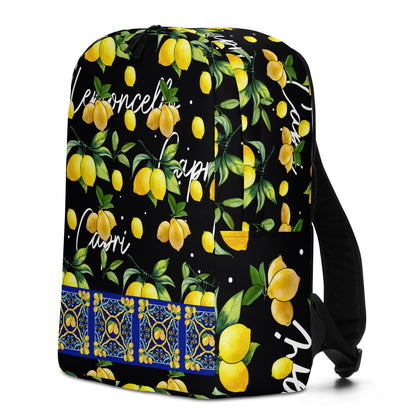 Minimalist Backpack