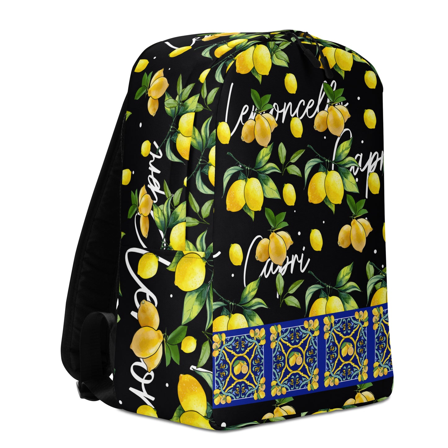 Minimalist Backpack